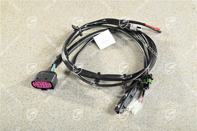 Wiring harness with microswitch, coupé