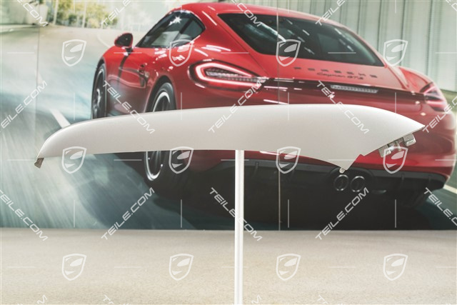 4 / 4S Facelift, Disc / cover lower, front bumper retaining frame, Titanium metallic, L