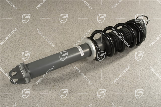 Stossdämpfer / Schwingungsdämpfer, Hinterachse, Komplett