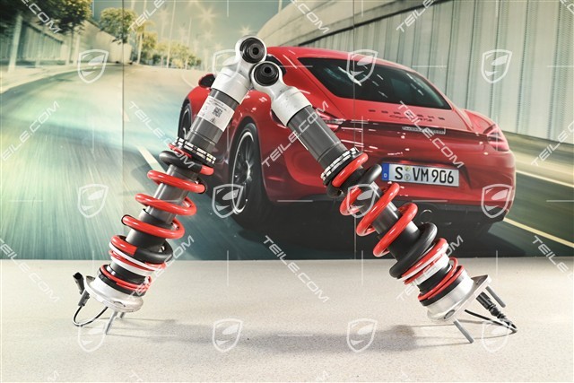 Stoßdämpfer, GT3, PASM  L=R , komplett