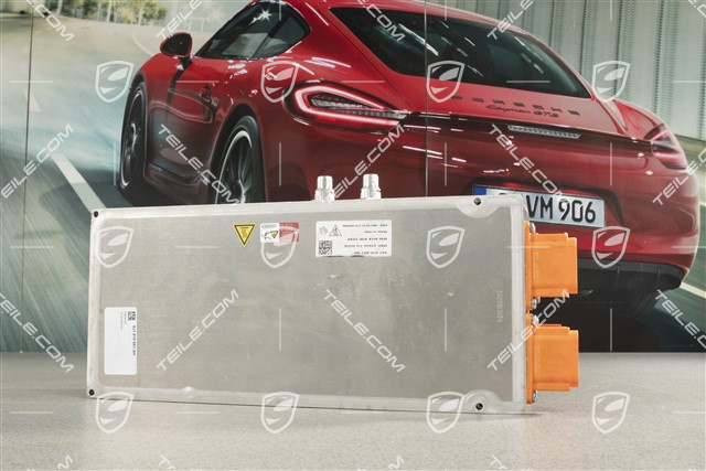 Ladegerät für Hochvoltbatterie, 22KW, only dor a car till 2021 year