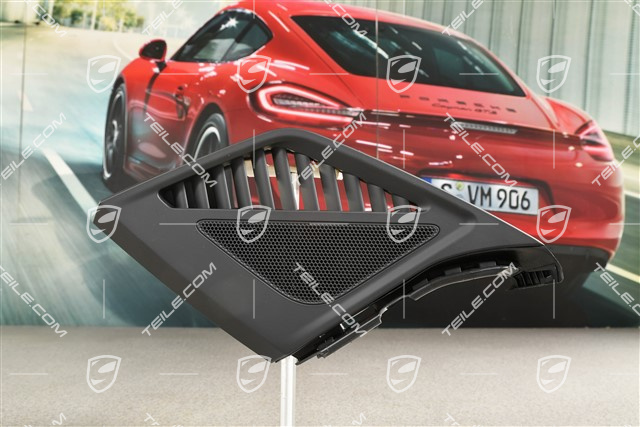 Dashboard cover trim for speaker, Black, L