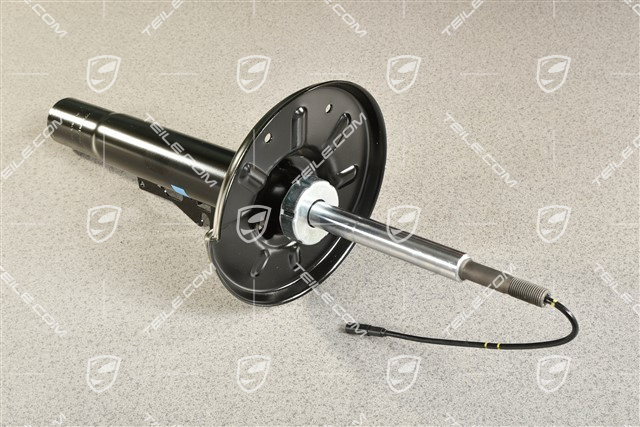 Stoßdämpfer, elektronische Dämpferregelung PASM, L=R