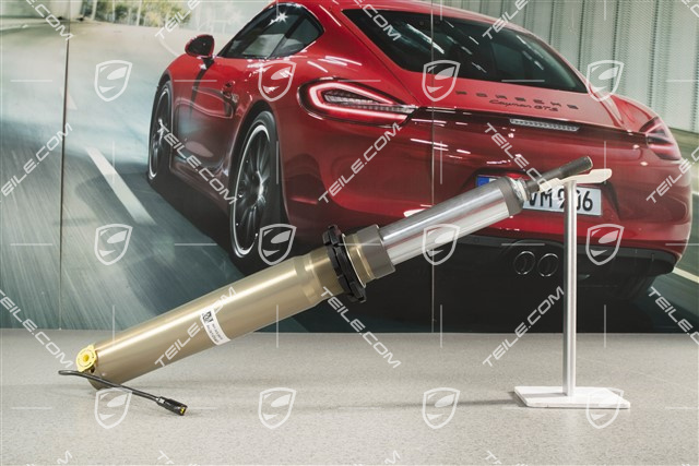 Stossdämpfer / Schwingungsdämpfer, GT3 RS, VA, PASM, Mit Tieferlegung, L=R