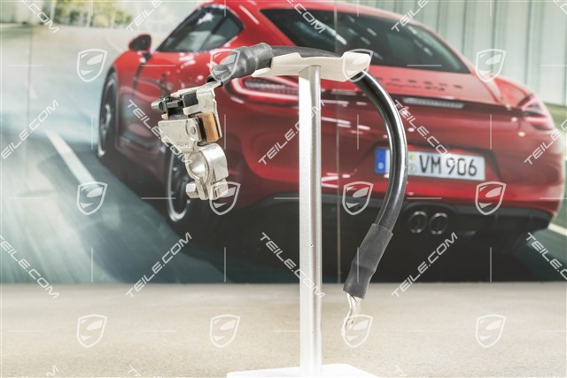 Steuergerät für Batterieüberwachung