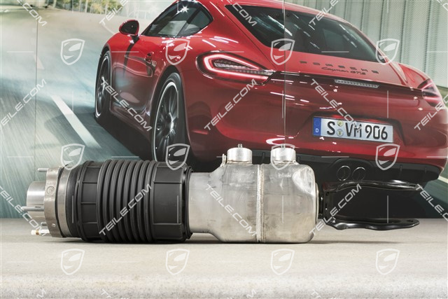 Stossdämpfer / Schwingungsdämpfer, Luftfederung, PASM, VA, Komplett, L