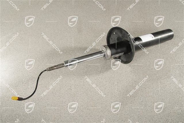 Schwingungsdämpfer, PASM, Hinterachse, L=R