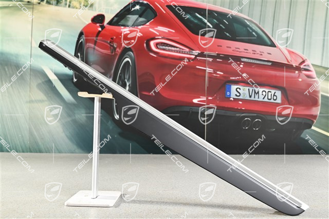 Dekor / Listwa ozdobna tapicerki drzwi przednich, czarna, R