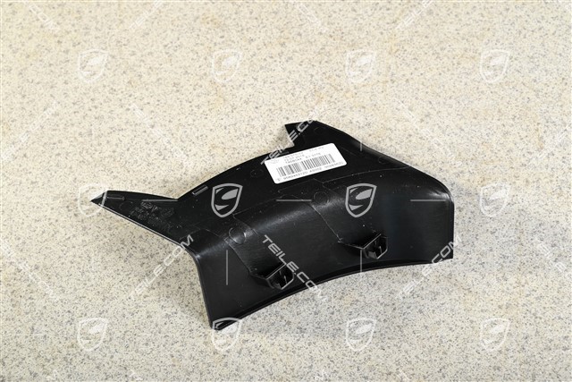 Rear light cover, outer, L