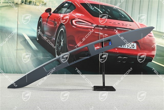 Tailgate handle housing / license plate light housing