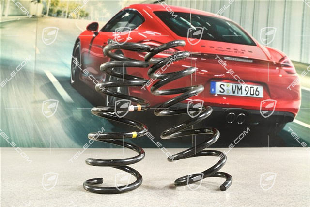 Schraubenfeder, PASM / PDCC, Turbo, Kennzeichnung Braun / Rosa, Satz, L+R