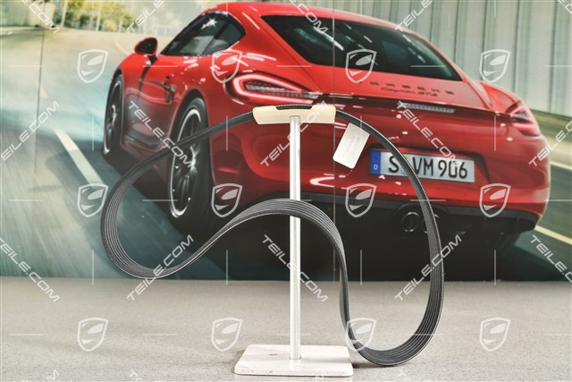 Pasek wielorowkowy napędu alternatora, Diesel