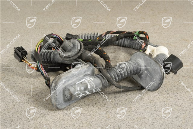 Wiązka elektryczna drzwi tylnych, R