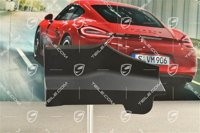 Targa, blenda skrytki dachu, boczna, czarna, L