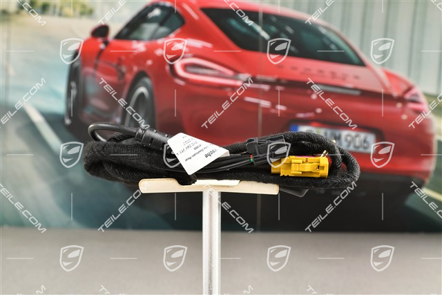 Kabelstrang für Porsche Dashcam QHD, Hinten