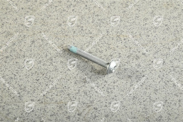 Linsenkopfschraube M6 x 45 Linsenkopfschraube M6 x 45