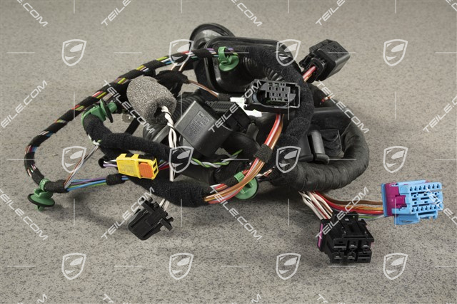 Wiązka instalacji elektrycznej drzwi pasażera, Bose, L