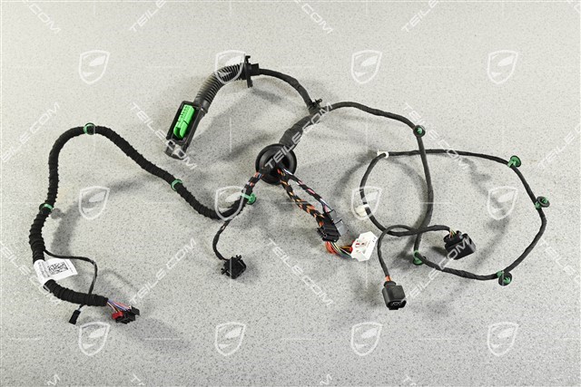 Kabelstrang Hintertür, L=R