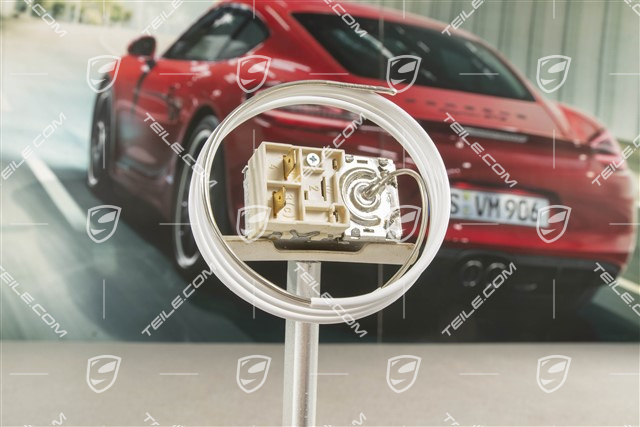 Temperature switch