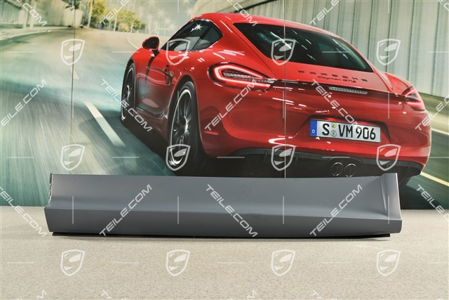 Aerokit / Sport Design, Hintertür, leiste, L