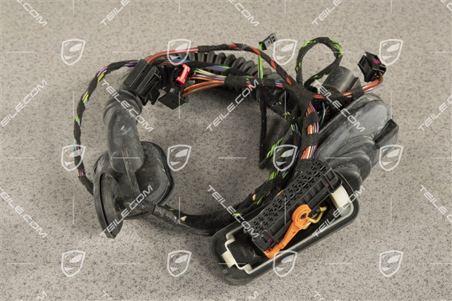 Wiązka elektryczna drzwi tylnych, Bose, L=R