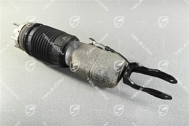 Stossdämpfer / Schwingungsdämpfer, Luftfederung, PASM, VA, Komplett, L