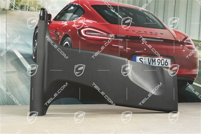 Einstiegsleiste, schwarz, R