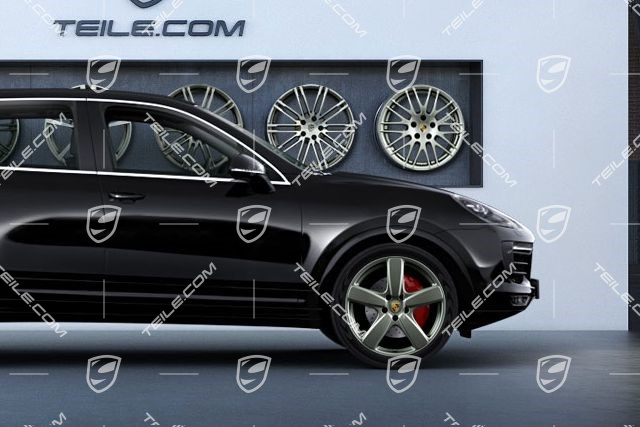 21" Sport Classic Sommerräder Satz, Felgen 10J x 21 ET50 + Sommerreifen 295/35 R21, lackiert in Platinum (seidenglanz)