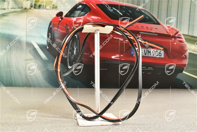 Gasket for Rear window, lower