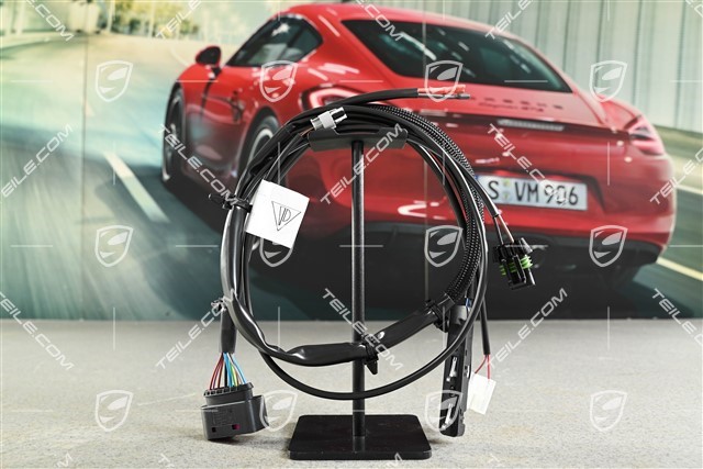 Wiring harness with microswitch, coupé