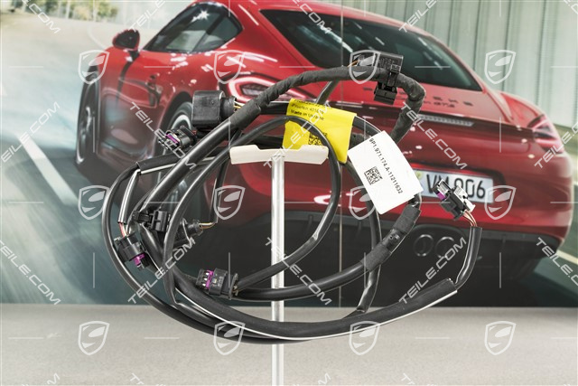 Wiring harness, rear bumper, C2/C2S, PDC