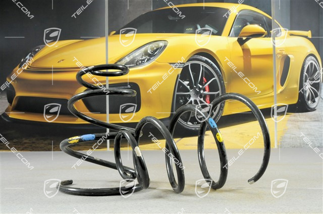 Schraubenfeder, Kennzeichnung Rapsgelb/Blau, L+R Schraubenfeder, Kennzeichnung Rapsgelb/Blau, L+R