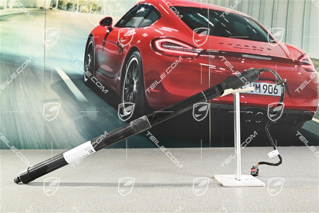 Drive unit Damper cylinder Trunk / boot lid / Power closing for rear lid, L=R