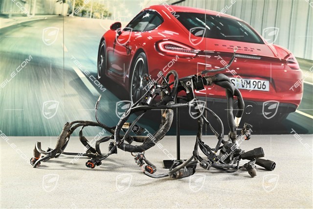 Wiązka przewodów, (ucięta wtyczka)