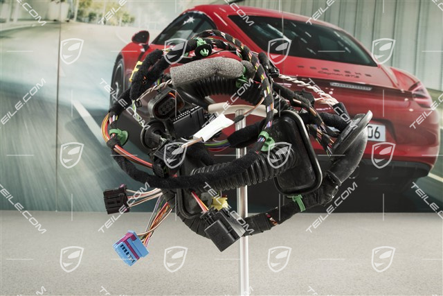 Wiązka instalacji elektrycznej drzwi pasażera, Bose, L