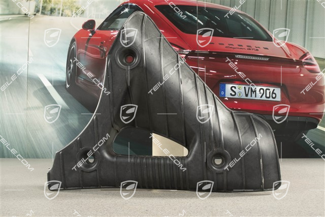 Stone chip guards