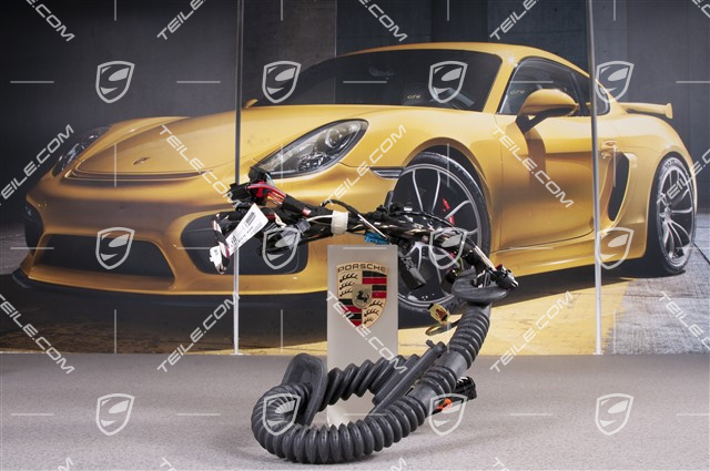 Kabelstrang Beifahrertür / Premium sound system