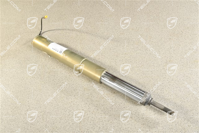 GT2 RS / GT3 RS, Stossdämpfer / Schwingungsdämpfer, VA, PASM, Liftfunktion, L=R