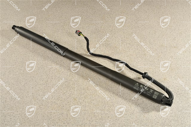 Stellelement, Dämpfer elektrisch, Servoschliesselung Heckklappe, L=R