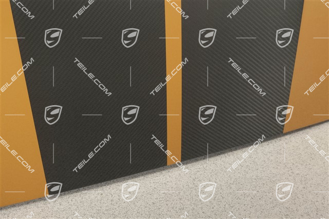 Turbo S Exclusive Series, CARBON, Outer roof panel