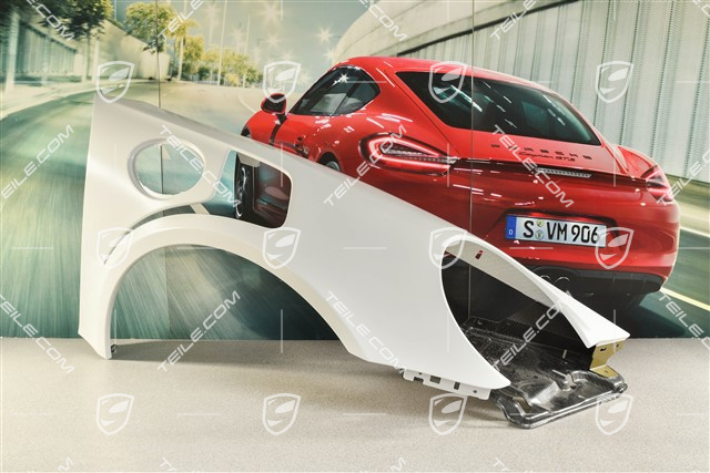 Fender/wing, GT3RS, Carbon, R
