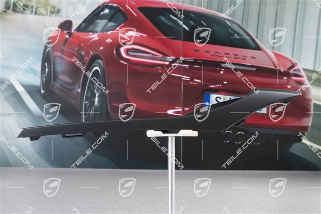 Front bumper disc / trim, GTS/Sport Design Package, Matt Black, L