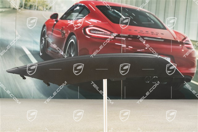 Front bumper disc / trim, Upper, Black, R