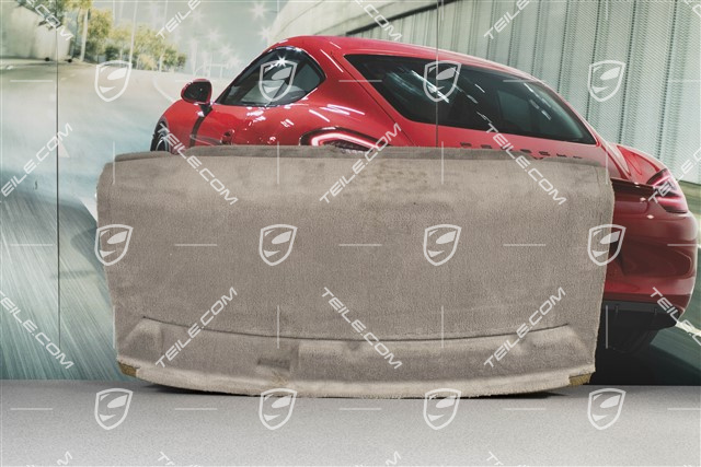 Dywan tylnej ściany / pólki, Graphite grey, Coupe