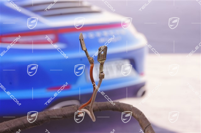 Wiązka instalacji elektrycznej podświetlenia tablicy rejestracyjnej z PDC, C4S/Turbo