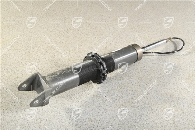 Stossdämpfer / Schwingungsdämpfer, Hinterachse, PASM. L=R