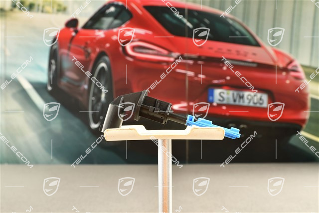 Oil level sensor