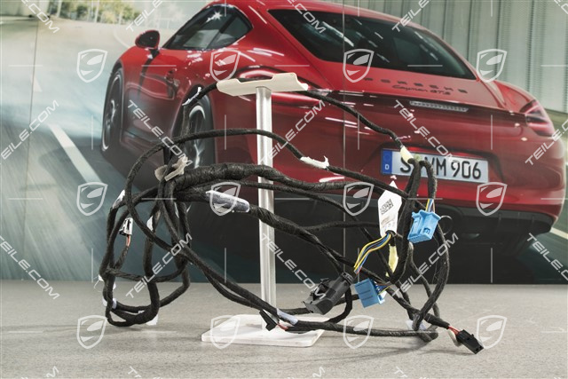 Wire set, Moulded headliner, Porsche Large roof system