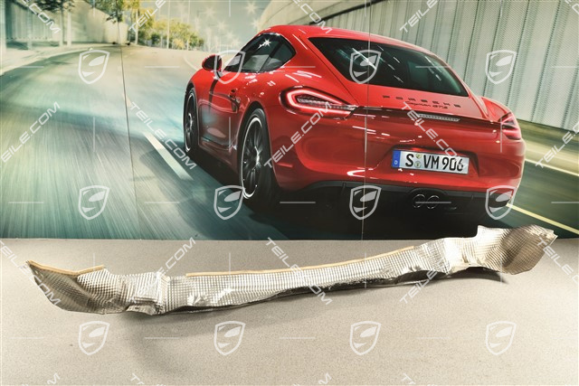 GT3, Hitzeschutz / Hitzeschild Heckstoßstange, Unten