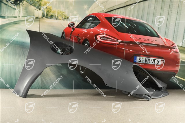 Kotflügel, GT2 RS / GT3 RS Facelift 10-, R (beschadigt)